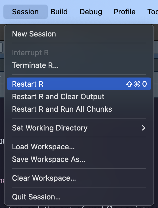 Restart RStudio